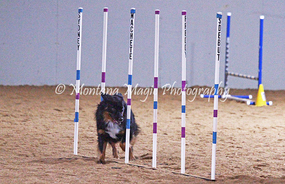 IMG_8302