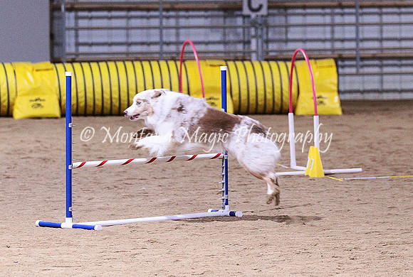 IMG_3868