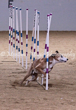 IMG_5312