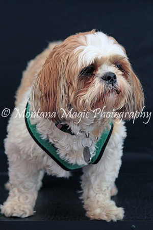Scout_0259