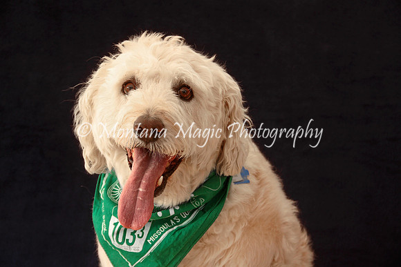 Baxter_9583
