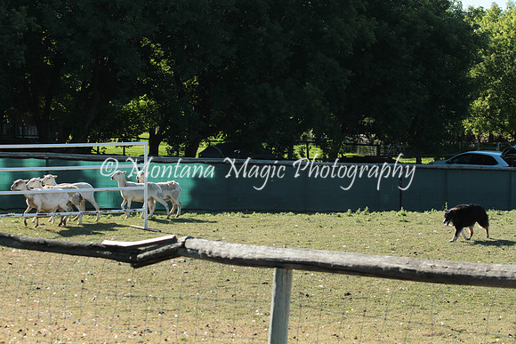 Annie_3773