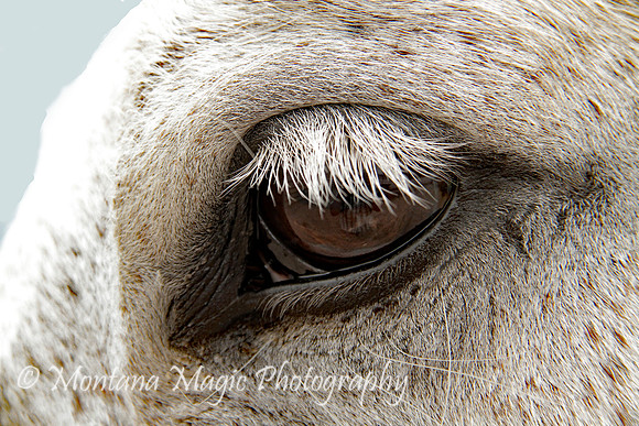 AND102 Eye to Eye