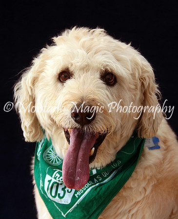 Baxter_9598