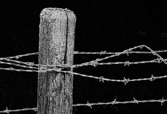 Barbed Wire