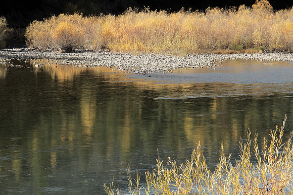 Blackfoot Autumn