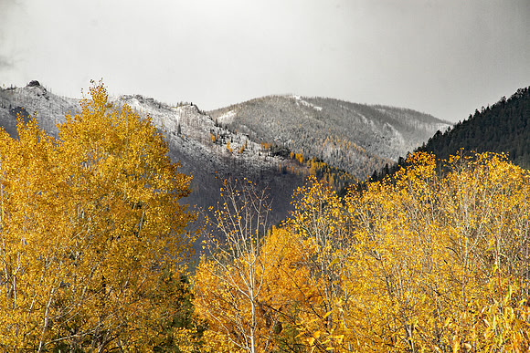 Autumn in the Bitterroots