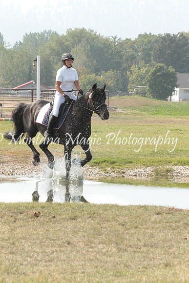 Brin_9784_Speed