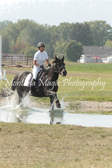 Brin_9785_Speed