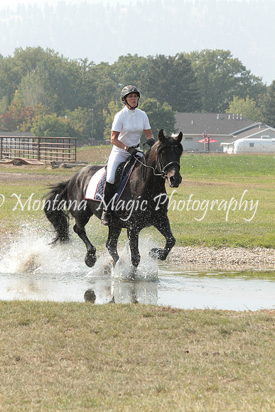 Brin_9786_Speed