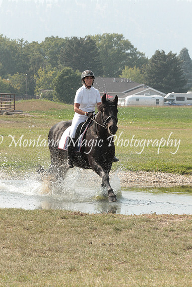 Brin_9787_Speed
