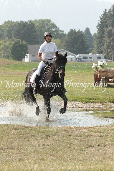 Brin_9788_Speed