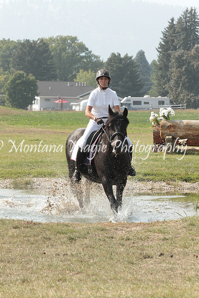 Brin_9789_Speed