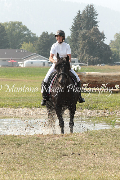 Brin_9790_Speed
