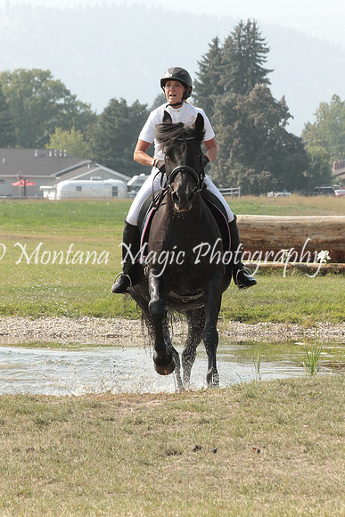 Brin_9791_Speed