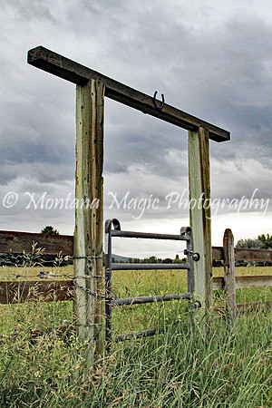 FR107 Pasture Gate