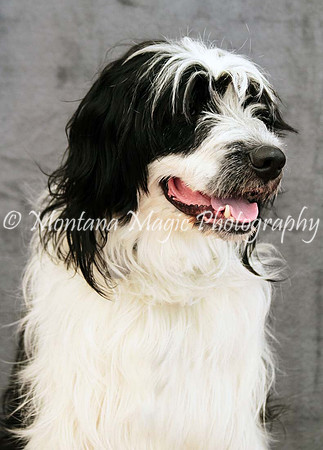 Tucker_0431