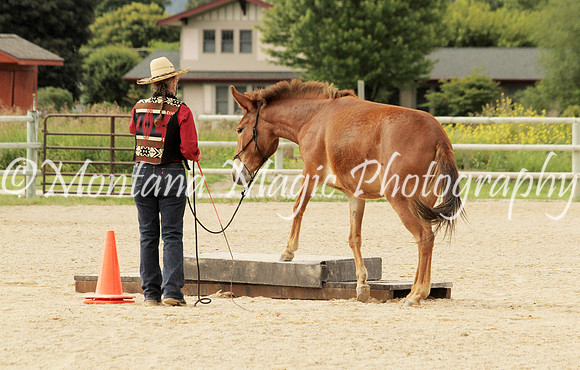 Cheryl_1821