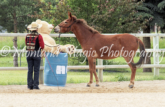 Cheryl_1843
