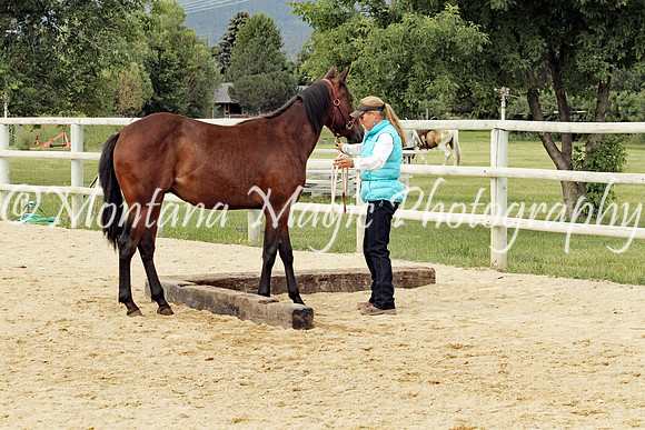 Kathy_1847