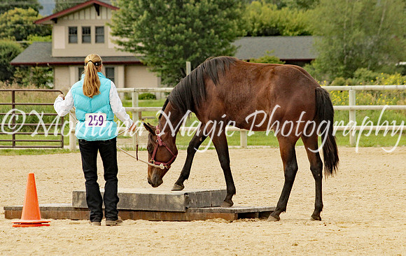 Kathy_1854