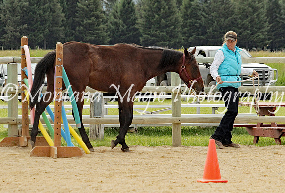 Kathy_1860