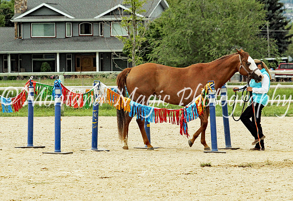 Kathy_1929