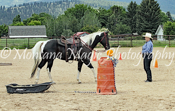 Linda_2397