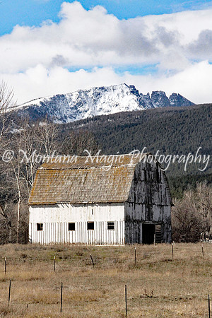 BN110 The Old White Barn