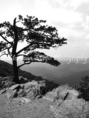 BW102 Blue Ridge Mountains