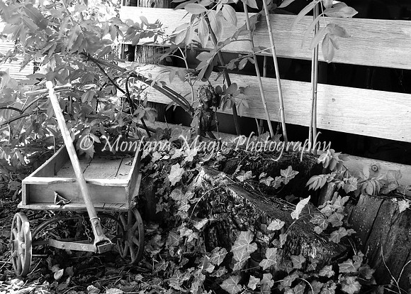 BW108 Little Wagon