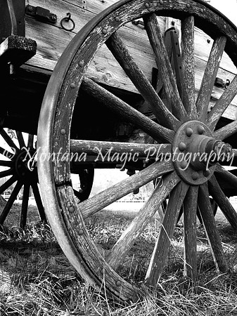 BW110 Wagon Wheel