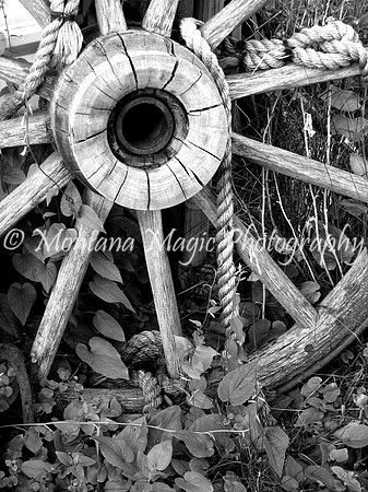 BW111 Wagon Wheel