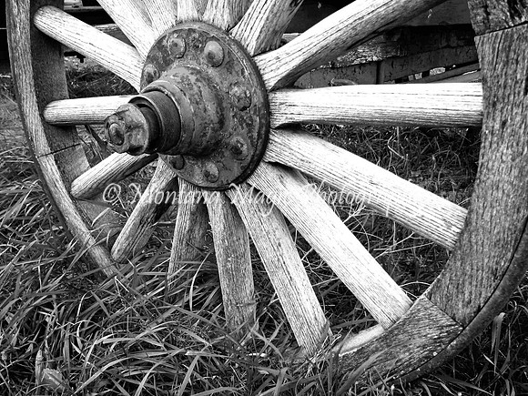 BW112 Wagon Wheel