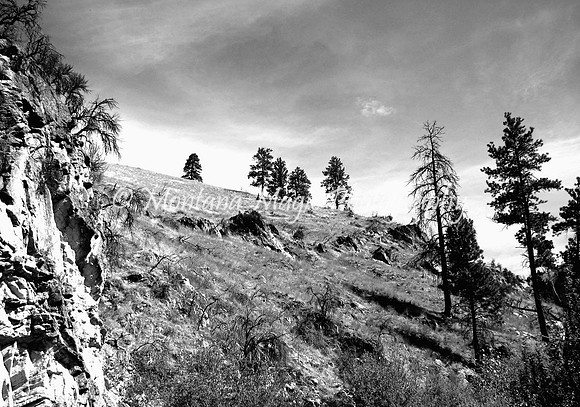 BW113 Sapphire Sky