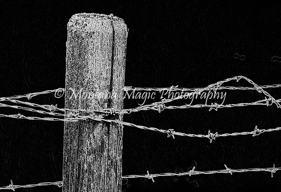 BW114 Barbed Wire