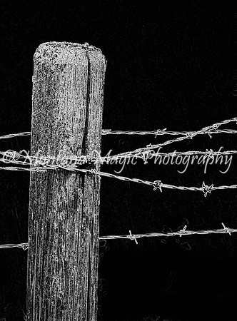 BW115 Barbed Wire