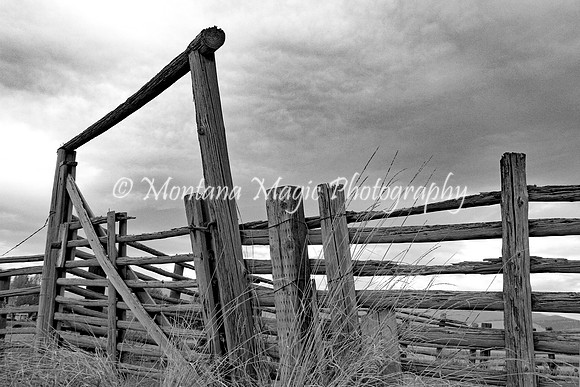 BW119 The Old Corral