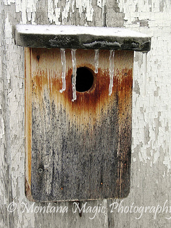 MS104 Icy Birdhouse