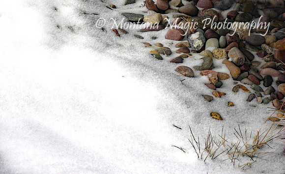 MS109 Rocks in Snow