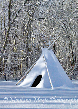 MS112 Winter Lodge