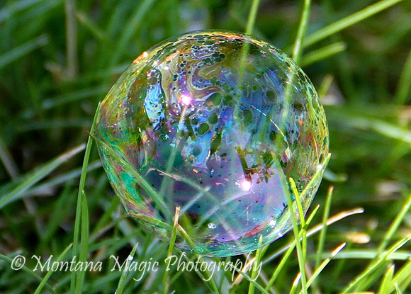 MS114 Bubble