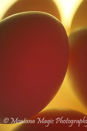 MS121 Eggs