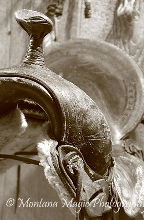 SP103 Saddle
