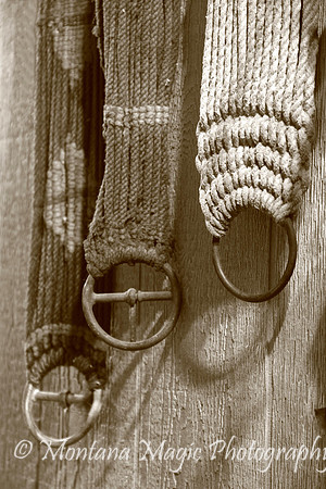 SP106 Cinch Straps