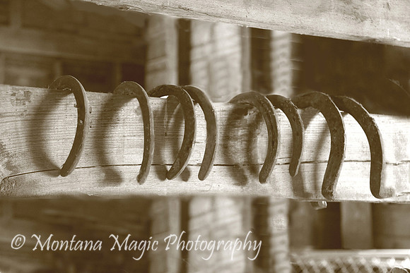 SP107 Horseshoes