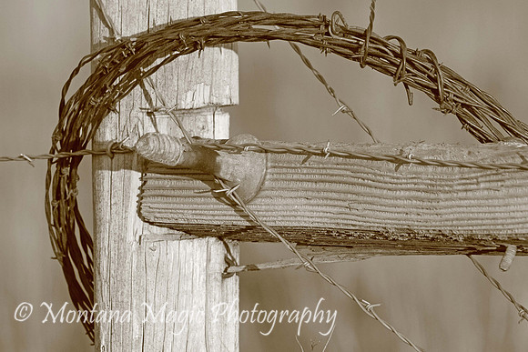 SP110 Barb Wire