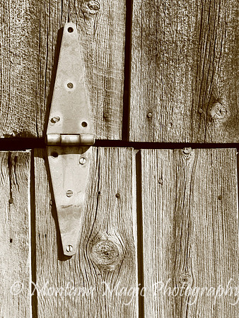 SP111 Hinge