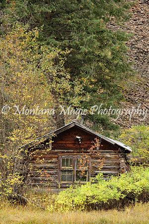 ST101 Little Cabin in the Woods
