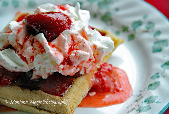 SL102 Strawberry Waffle